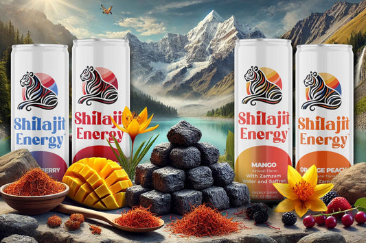 Unlocking Natural Energy: The Power of Shilajit Energy Drinks and Modern Energy Boosters